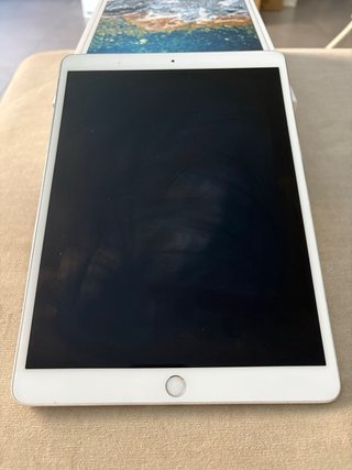 iPad Pro 10.5 pulgadas