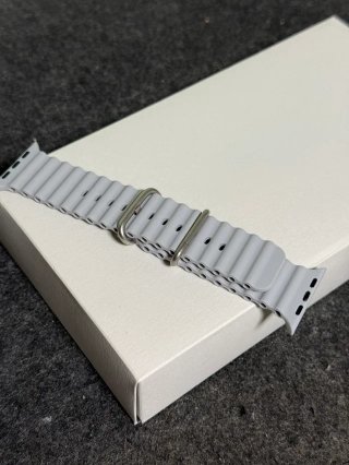 Correa para Apple Watch - Gris Claro