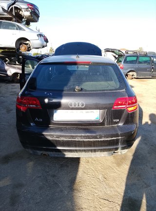 Despiece Audi A3 1.6 TDI