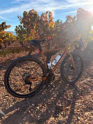 BH GravelX 3.5 Carbono Talla M