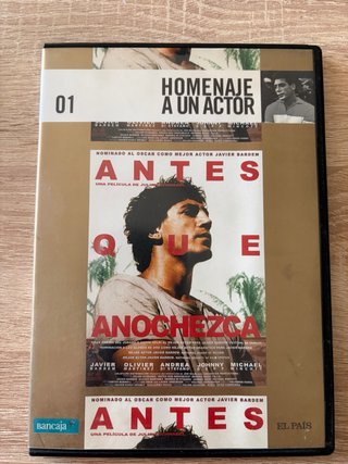 DVD Antes que anochezca