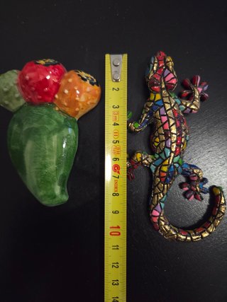 2 magneti decorativi: fico d'India e lucertola