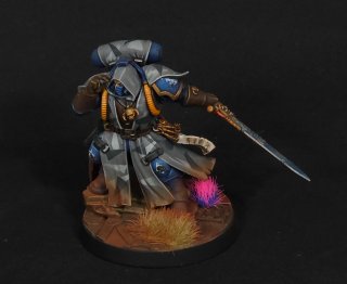 Ejército ultramarines pintado profesional