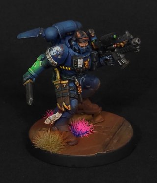 Ejército ultramarines pintado profesional