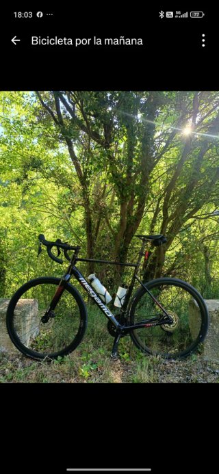 Bicicleta de Carretera Megamo Start.