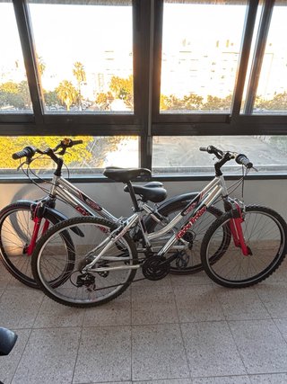 2 bicicletas de montaña Globe Tortter.