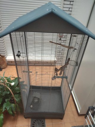 Jaula Grande para Aves