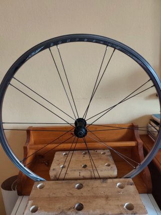 Rueda Delantera Bontrager