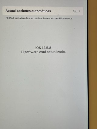 iPad Air A1474 Argento