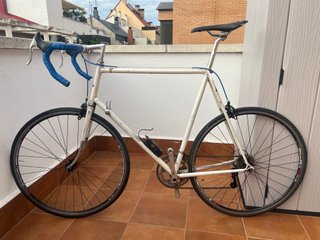 Bicicleta de Carretera Clásica Raleigh XL