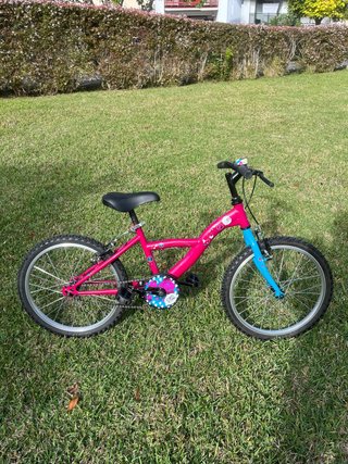Bicicleta Infantil 20 Pulgadas