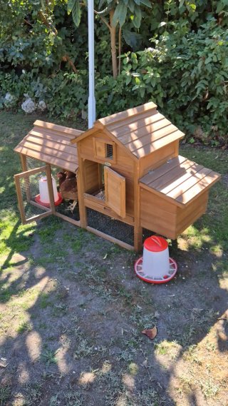 Gallinero de madera en excelente estado