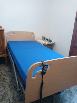 Cama articulada eléctrica con carro elevador