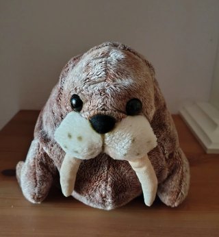 Peluche tricheco morbido
