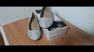 Zapatos Planos Plateados Talla 41