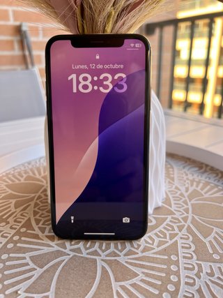 Apple iPhone XS 64GB Grigio Siderale in ottime condizioni