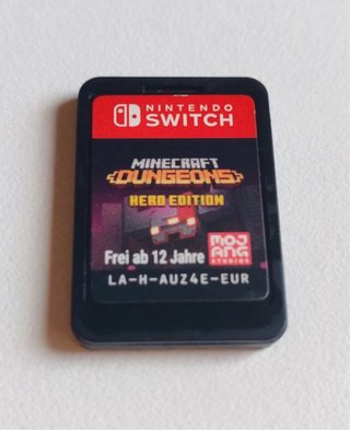 Minecraft Dungeons Hero Edition Switch