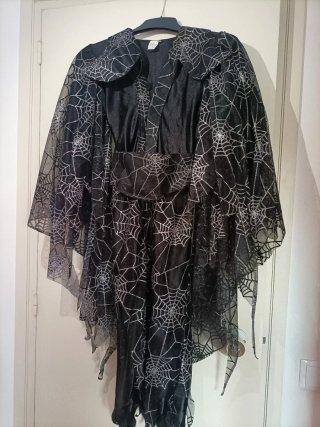 Disfraz Brujita Telaraña Niña . Talla 8
