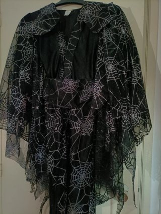 Disfraz Brujita Telaraña Niña . Talla 8