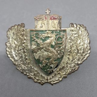 Insignia de Casco Austriaca