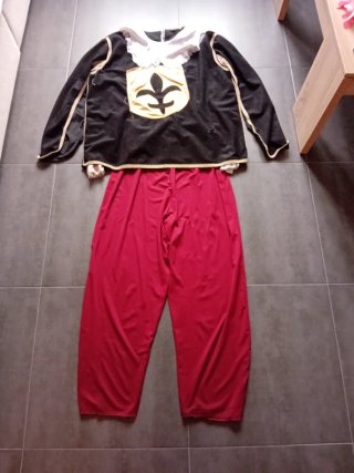 Disfraz Dartacán Talla L