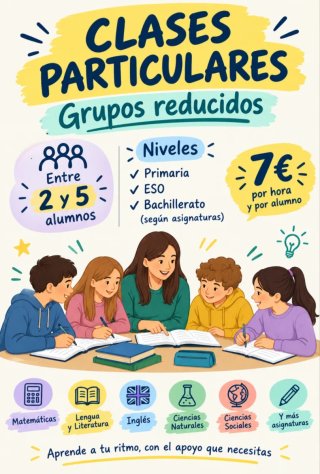 Clases particulares grupos reducidos