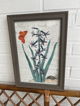 Cuadro botánico vintage mariposa y escarabajo.