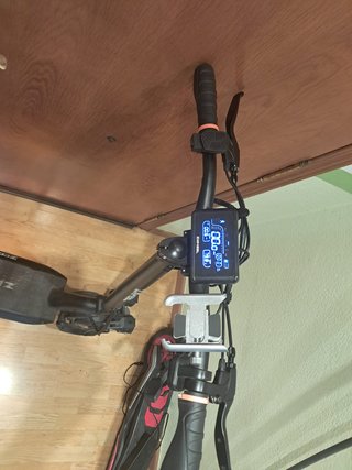 Patinete Eléctrico ZWheel ZCougar