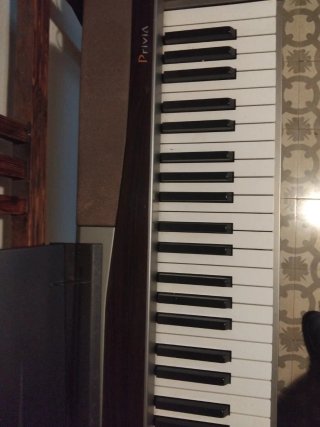 Piano Casio Privia PX100