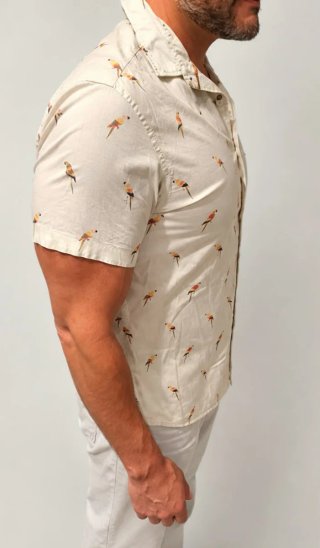 Camisa manga corta hombre XL pájaros