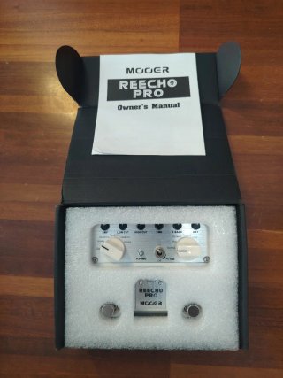 Pedal Delay Mooer Reecho Pro + looper