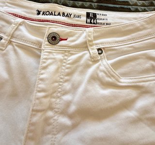 Koala Bay Bermuda Palm Beach Shorts
