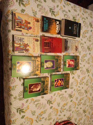 Pack de 11 libros variados en temática y formatos