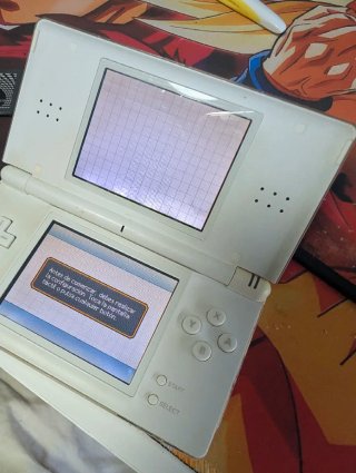 Nintendo DS Lite Bianca
