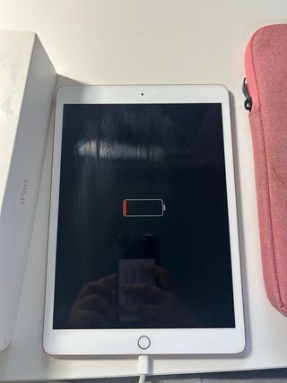 iPad 10.2 Rosa con custodia