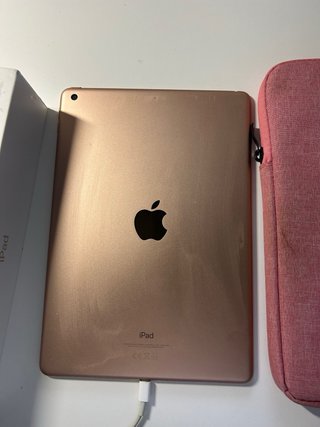 iPad 10.2 Rosa con custodia