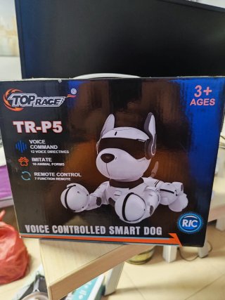 Top Race TR-P5 Perro Inteligente Control Voz