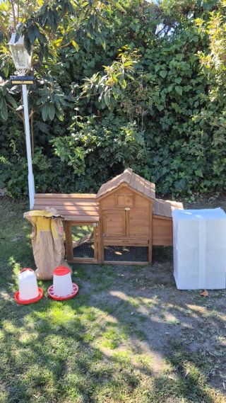 Pack Gallinero de madera, comederos y serrin