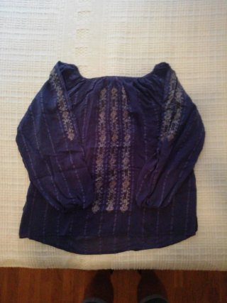 Blusa azul con bordados