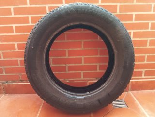 Rueda Michelin CrossClimate