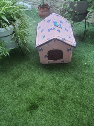 Casetta per cani o gatti