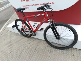 Bici MTB