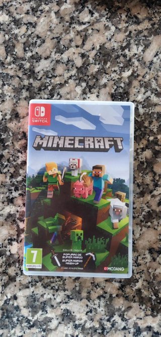 Minecraft Nintendo Switch