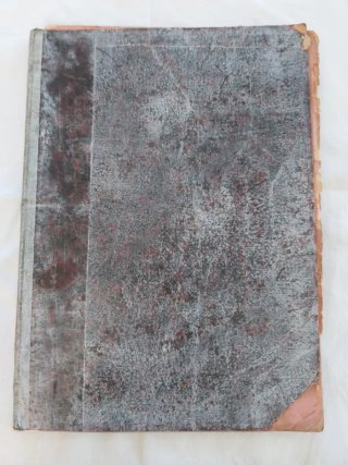 Libro antiguo Huérfana y Mártir