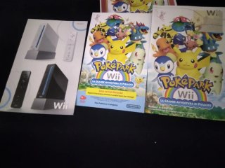 Gioco nintendo wii PokéPark pikachu adventure