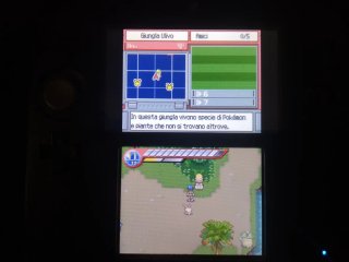 Gioco Pokémon Ranger - Nintendo DS