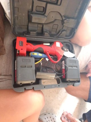Tijeras de podar eléctrica HILTO