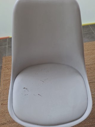 2 Sedie Stile Nordico