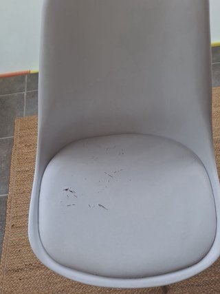 2 Sedie Stile Nordico