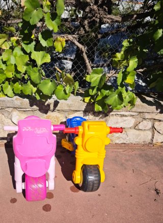 Moto correpasillos infantil Molto Cross